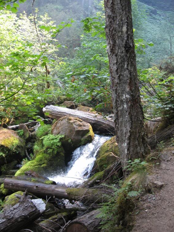 Name: 9-13-08waterfalls030.jpg
Views: 24
Size: 115.4 KB