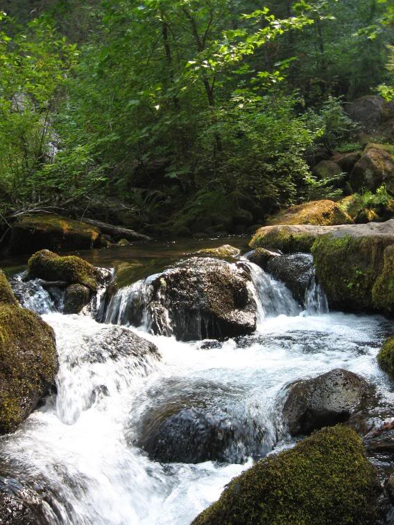 Name: 9-13-08waterfalls029.jpg
Views: 26
Size: 106.9 KB