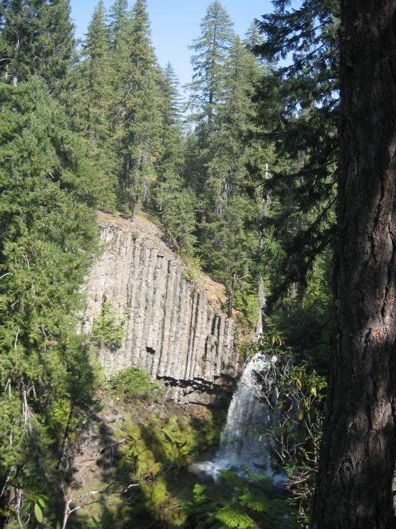 Name: 9-13-08waterfalls043.jpg
Views: 20
Size: 115.7 KB