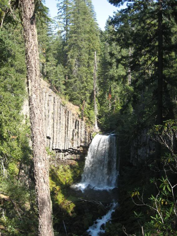 Name: 9-13-08waterfalls045.jpg
Views: 23
Size: 116.8 KB