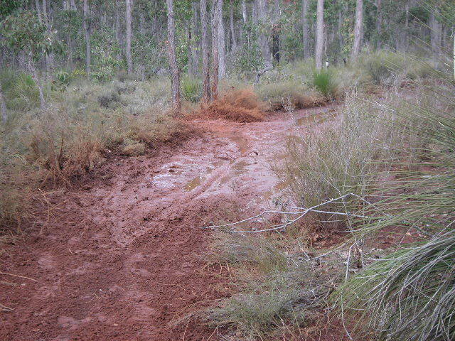 Name:  mud.jpg
Views: 17
Size:  98.3 KB