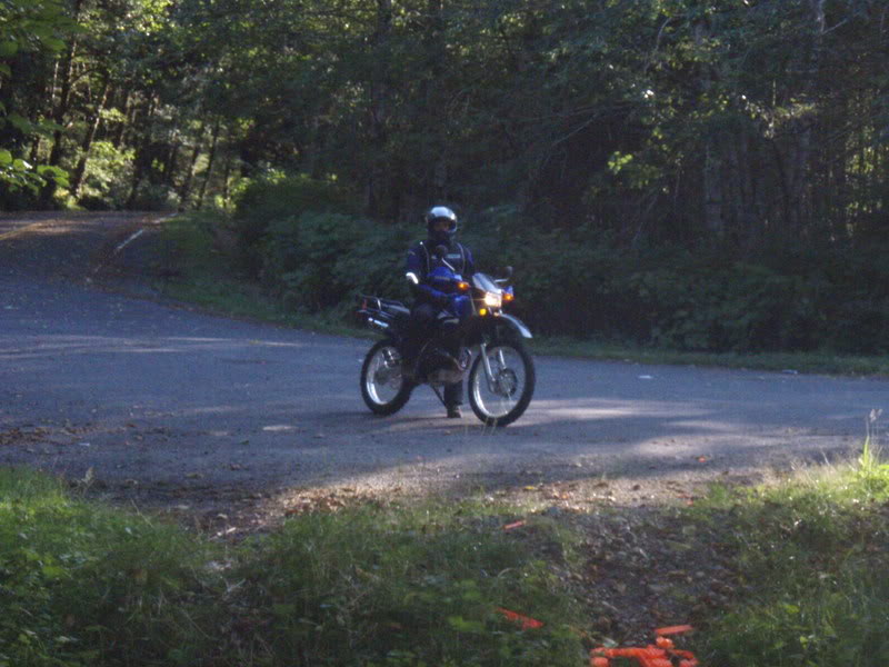 Name:  P9138089.jpg
Views: 18
Size:  88.9 KB