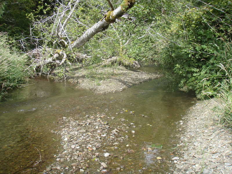 Name:  P9018013.jpg
Views: 22
Size:  104.0 KB