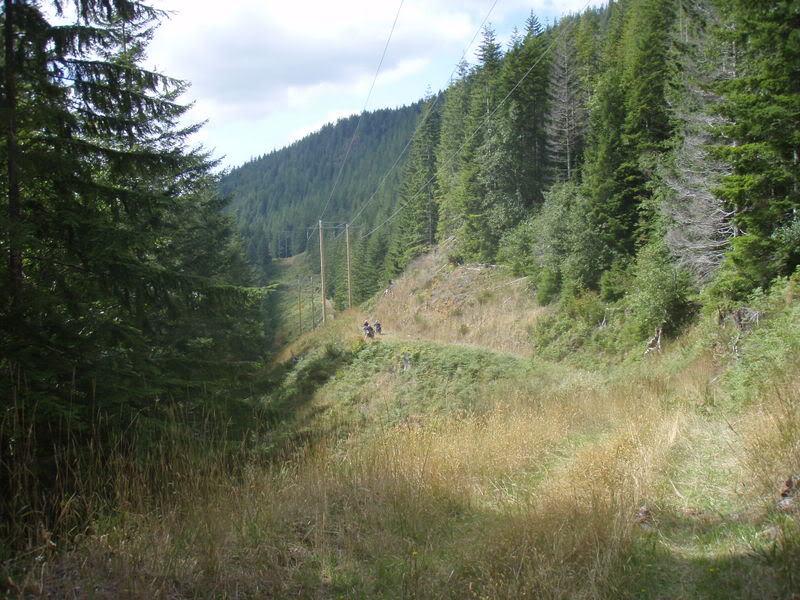 Name:  P9018015.jpg
Views: 24
Size:  117.6 KB