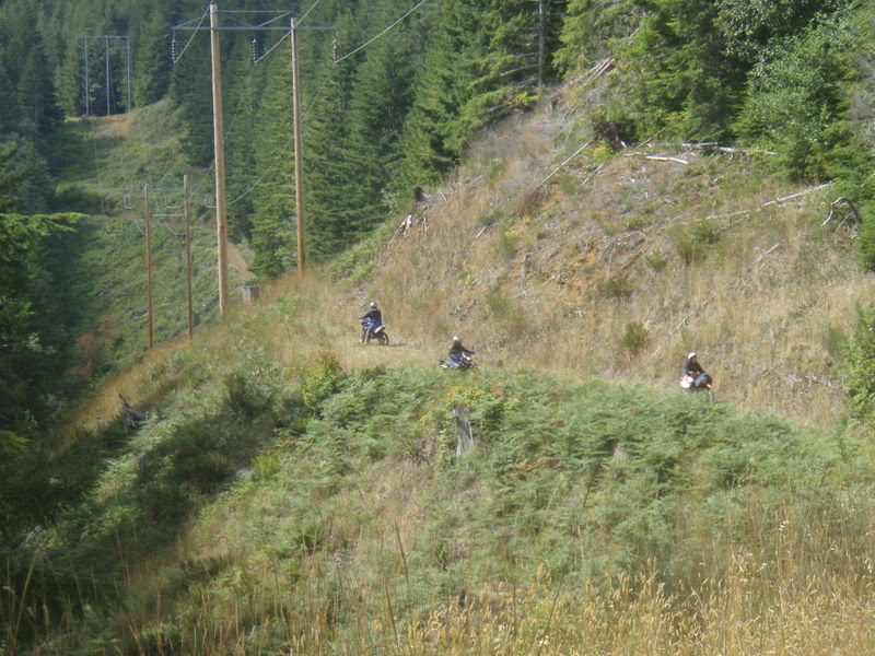 Name:  P9018016.jpg
Views: 23
Size:  118.8 KB