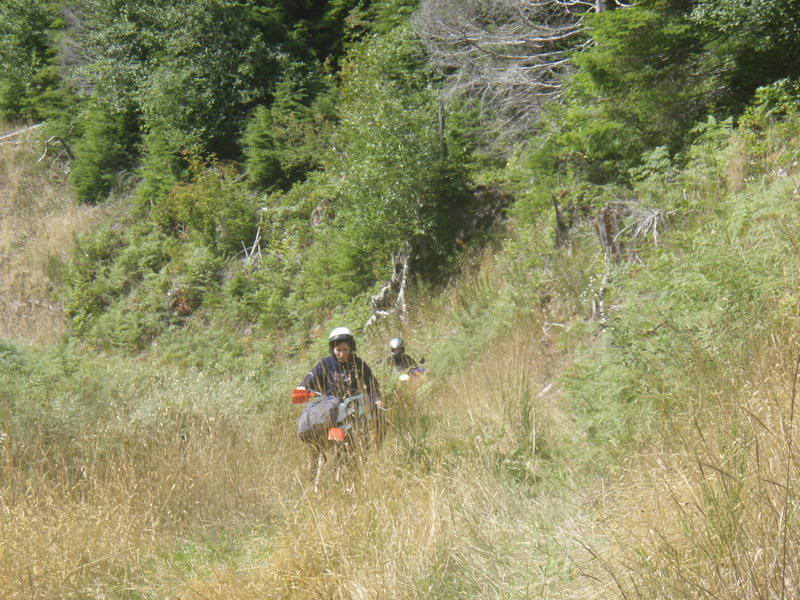 Name:  P9018018.jpg
Views: 23
Size:  122.2 KB