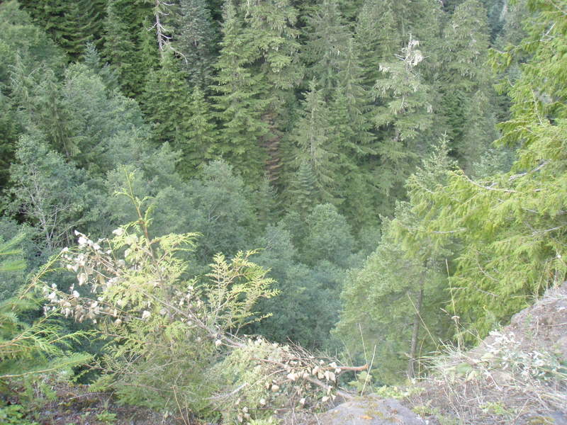 Name:  P9018019.jpg
Views: 23
Size:  111.8 KB