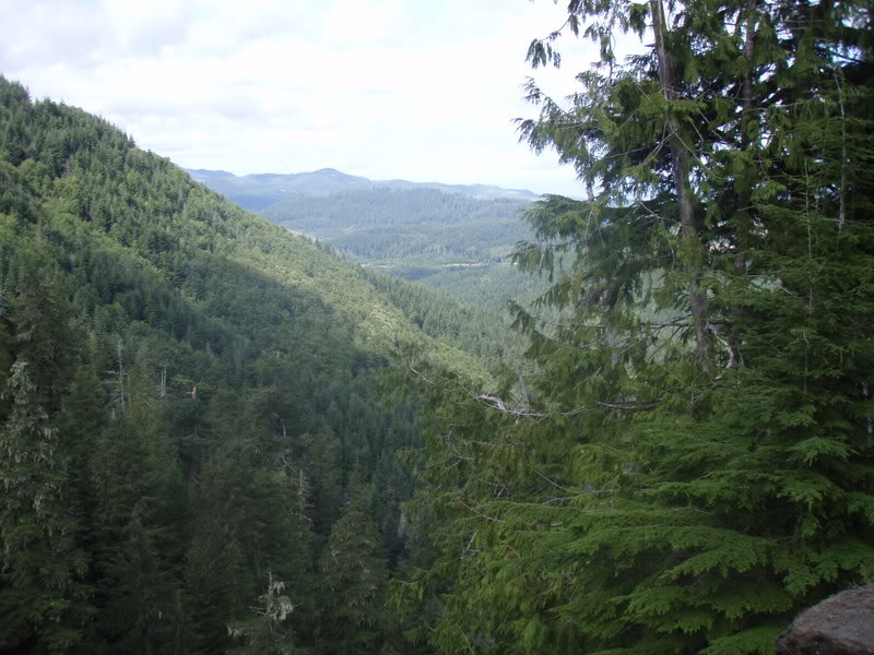 Name:  P9018020.jpg
Views: 22
Size:  102.4 KB