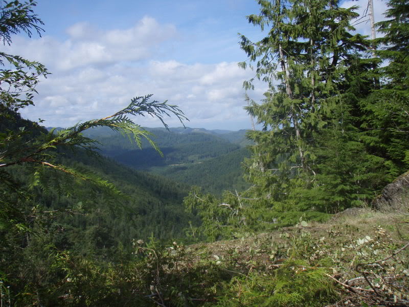 Name:  P9018027.jpg
Views: 22
Size:  116.4 KB