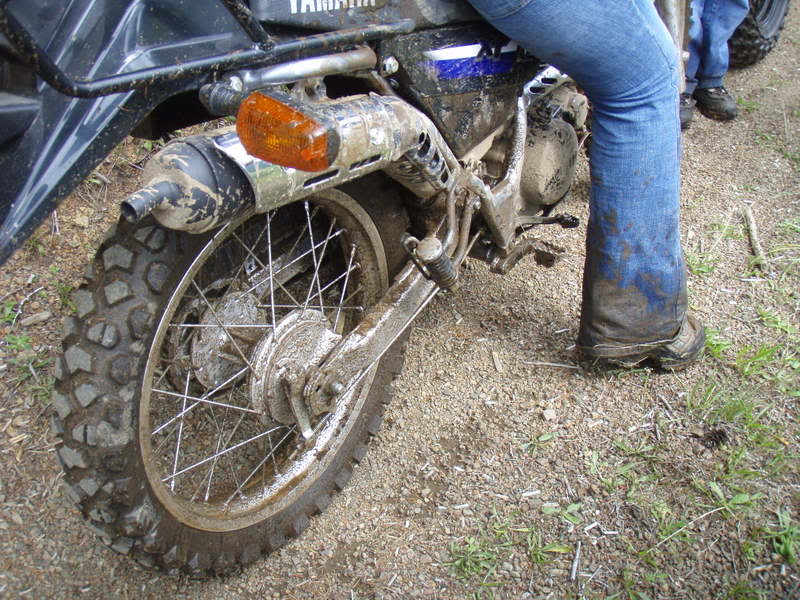 Name:  P9017993.jpg
Views: 25
Size:  120.1 KB