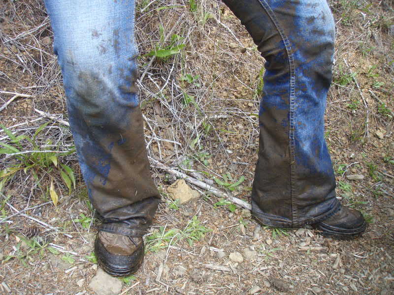 Name:  P9017995.jpg
Views: 24
Size:  104.6 KB