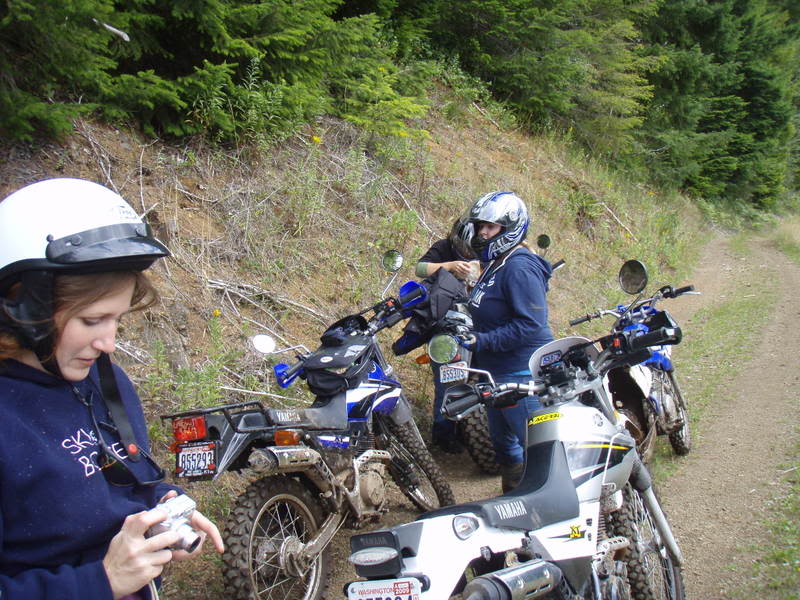 Name:  P9017999.jpg
Views: 22
Size:  120.0 KB