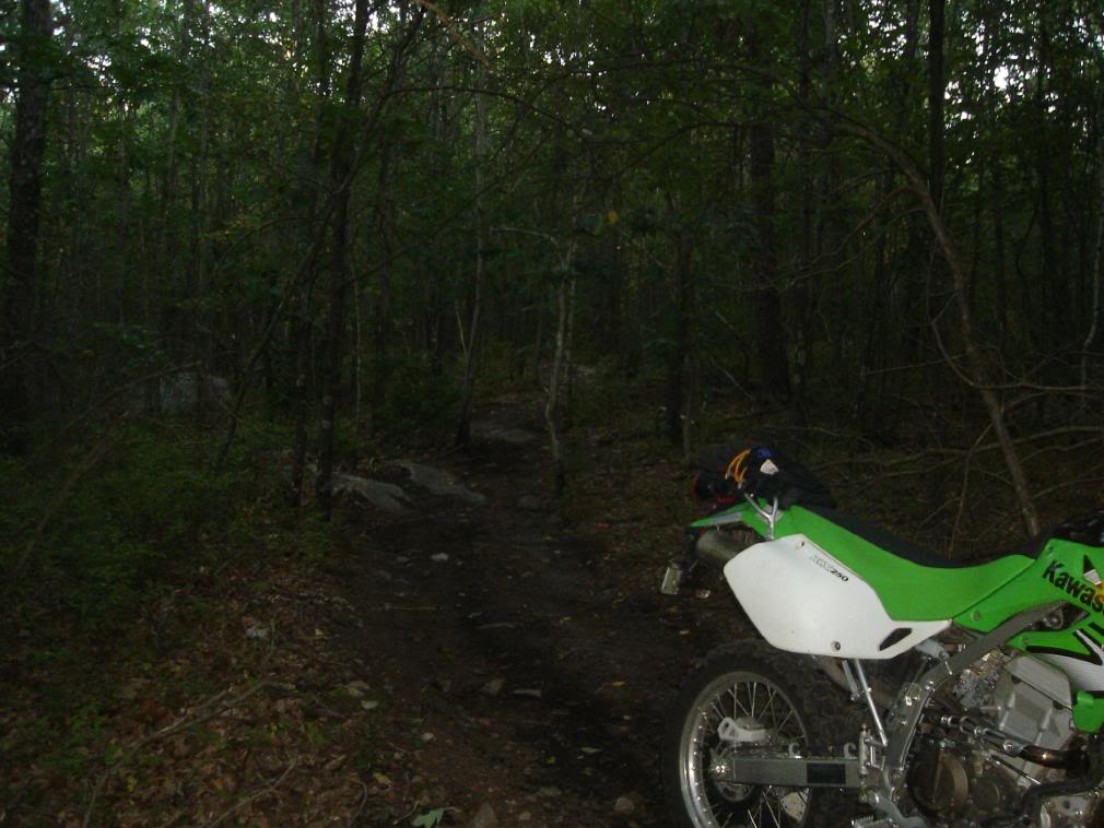 Name:  DSC01715.jpg
Views: 33
Size:  96.2 KB
