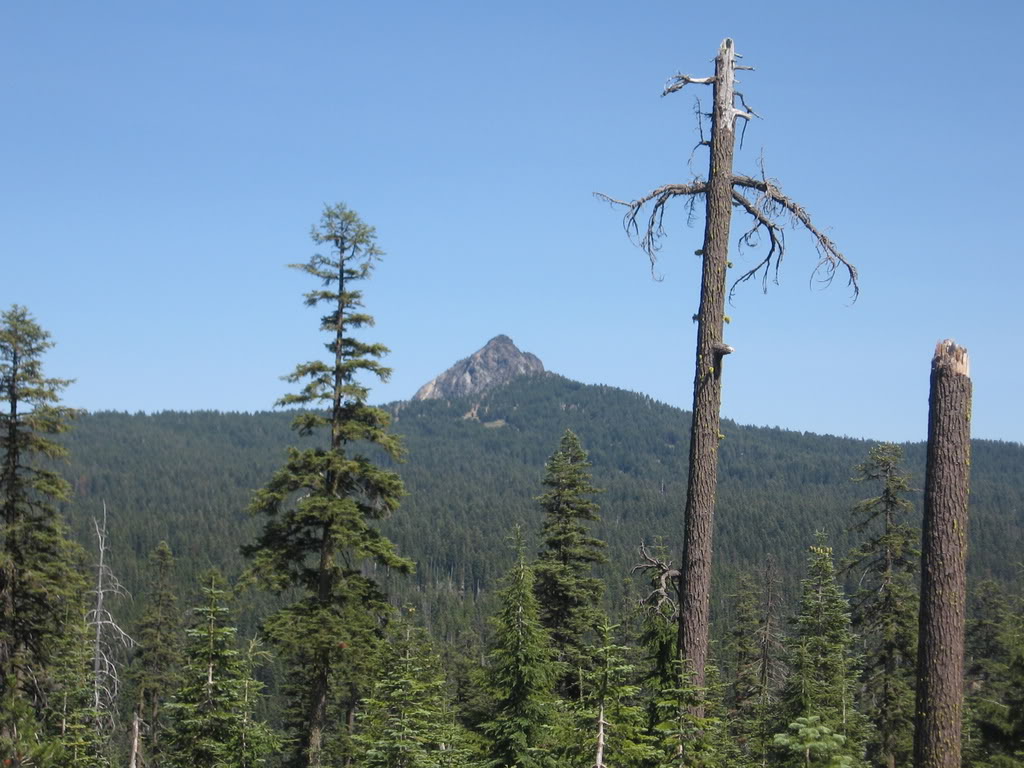 Name:  8-14-15-08046.jpg
Views: 44
Size:  145.4 KB
