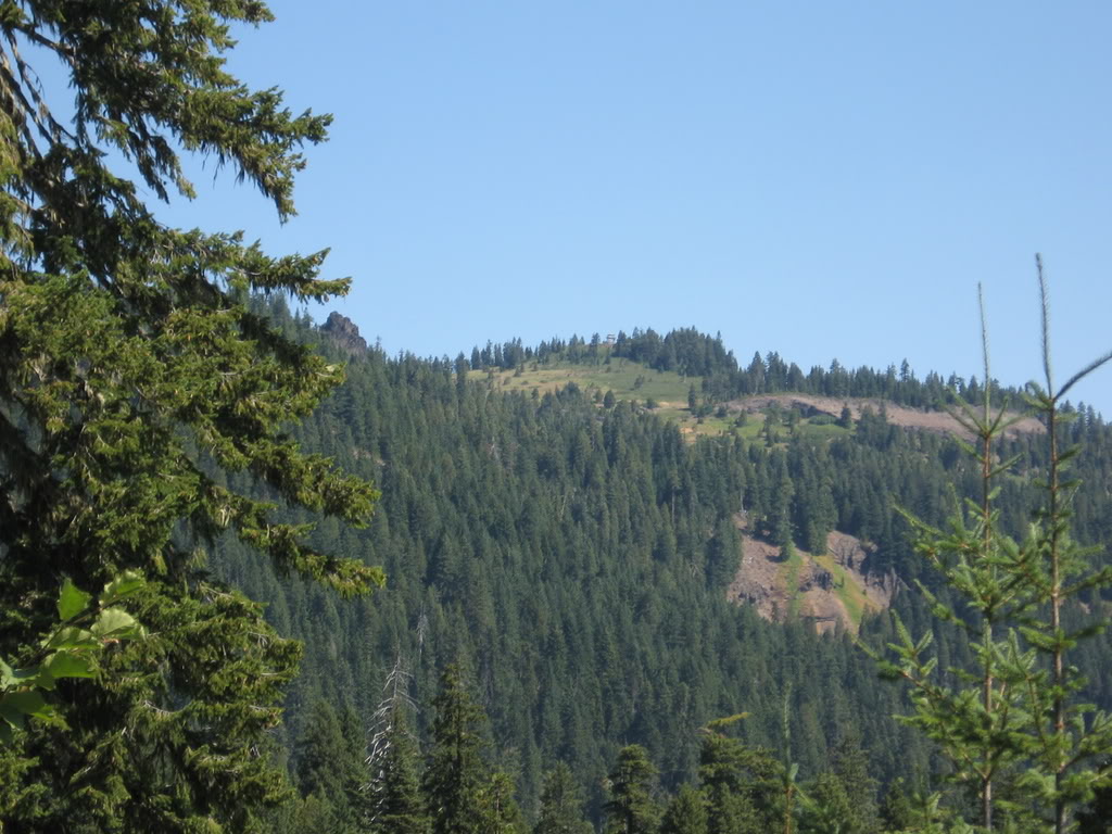 Name:  8-14-15-08066.jpg
Views: 55
Size:  158.1 KB