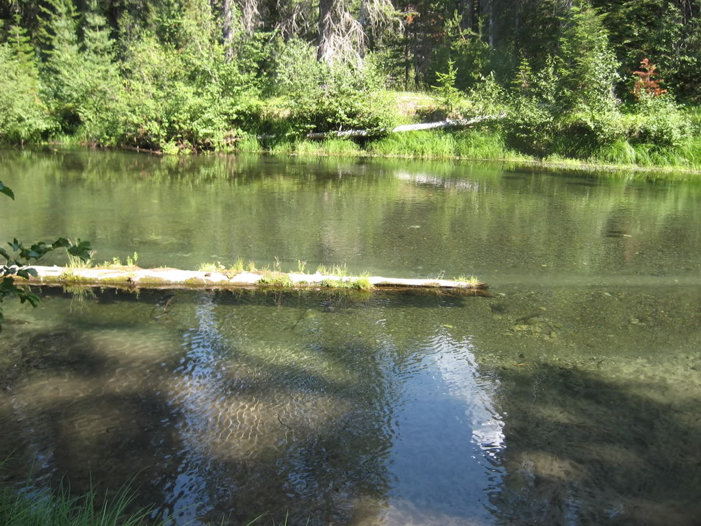 Name:  8-14-15-08116.jpg
Views: 33
Size:  226.4 KB