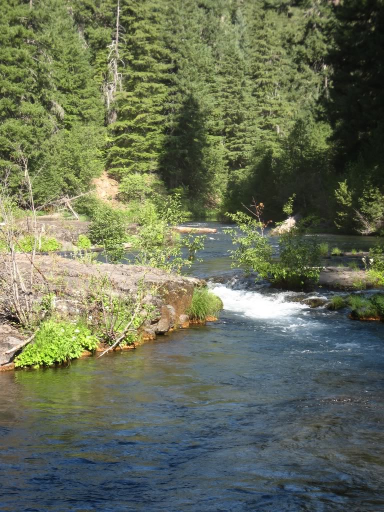 Name:  8-14-15-08006.jpg
Views: 47
Size:  236.7 KB