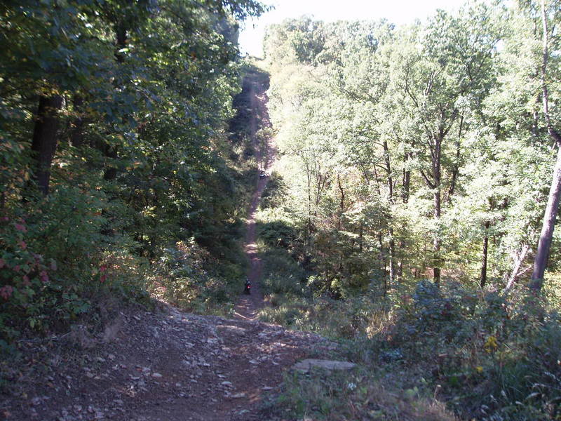 Name:  P9270018.jpg
Views: 24
Size:  127.7 KB