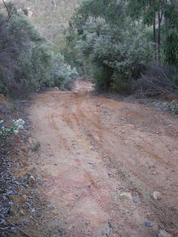 Name:  PICT0011.jpg
Views: 23
Size:  97.5 KB