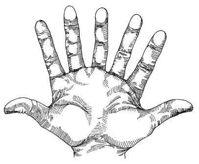 Name:  seven_fingered_hand.gif
Views: 36
Size:  20.8 KB