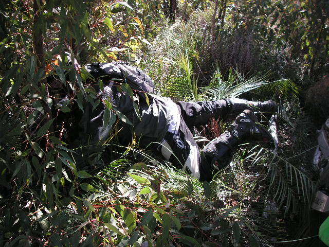 Name:  PICT0080.jpg
Views: 20
Size:  92.8 KB
