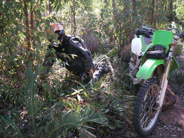Name:  PICT0081.jpg
Views: 19
Size:  95.8 KB