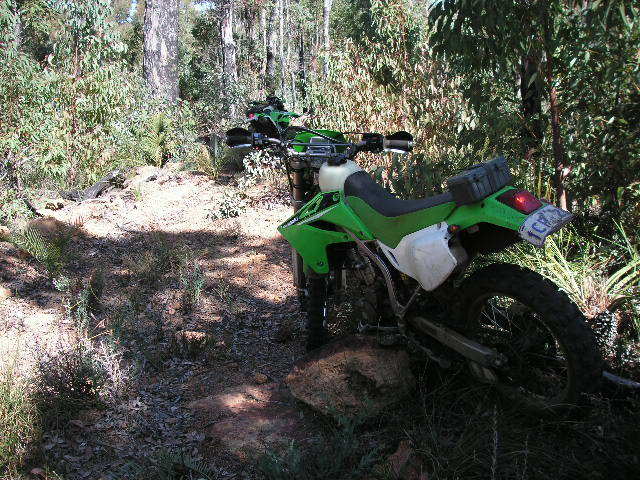 Name:  PICT0079.jpg
Views: 19
Size:  92.6 KB