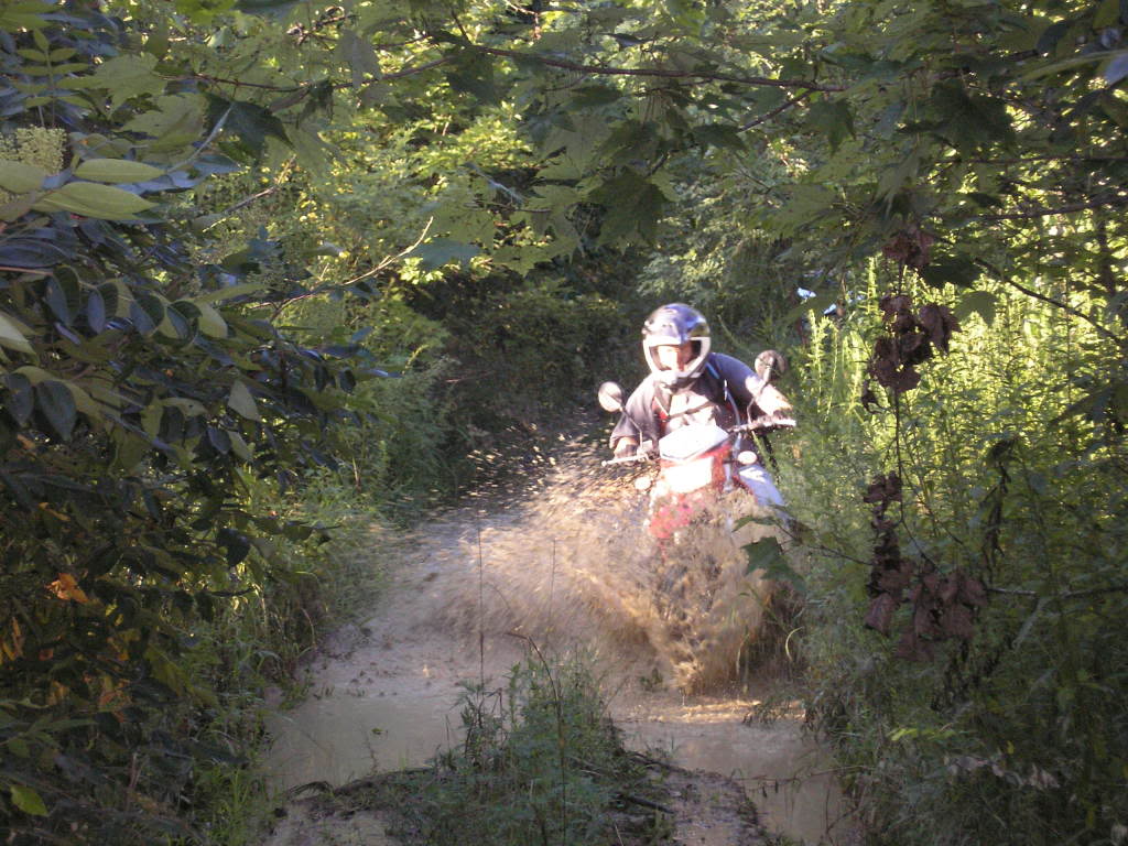 Name:  J-RockKawasaki043-1.jpg
Views: 823
Size:  148.7 KB