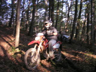 Name: J-RockKawasaki063.jpg
Views: 30
Size: 19.0 KB