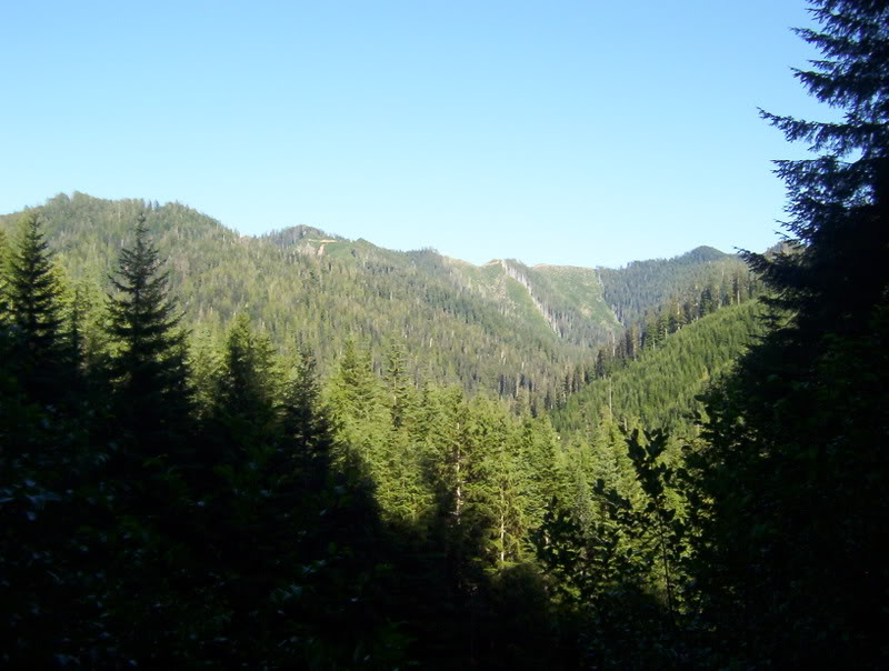 Name:  100_6414.jpg
Views: 95
Size:  86.0 KB