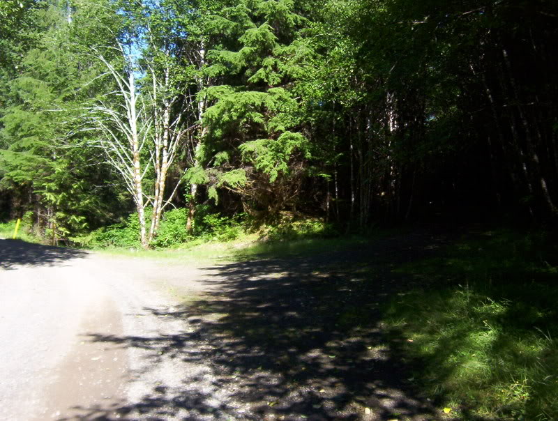 Name:  100_6403.jpg
Views: 66
Size:  134.9 KB