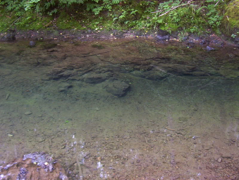 Name: 100_6379.jpg
Views: 81
Size: 126.4 KB