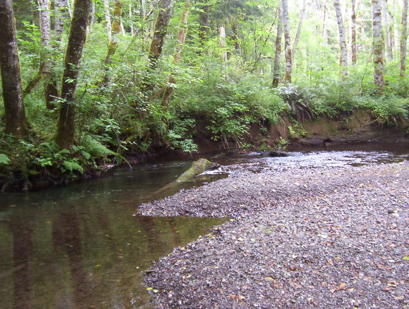 Name: 100_6380.jpg
Views: 70
Size: 160.6 KB