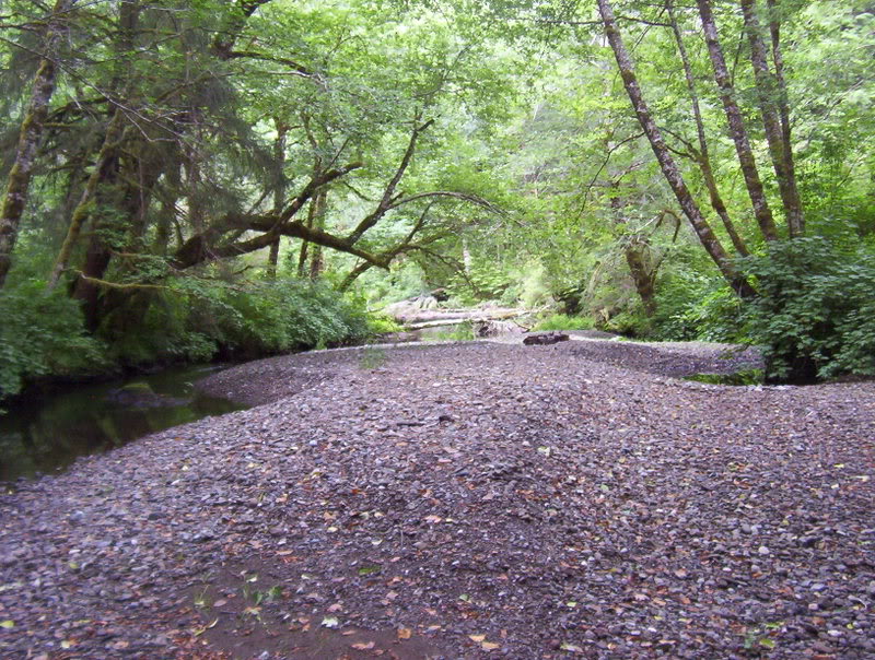 Name: 100_6383.jpg
Views: 65
Size: 172.8 KB