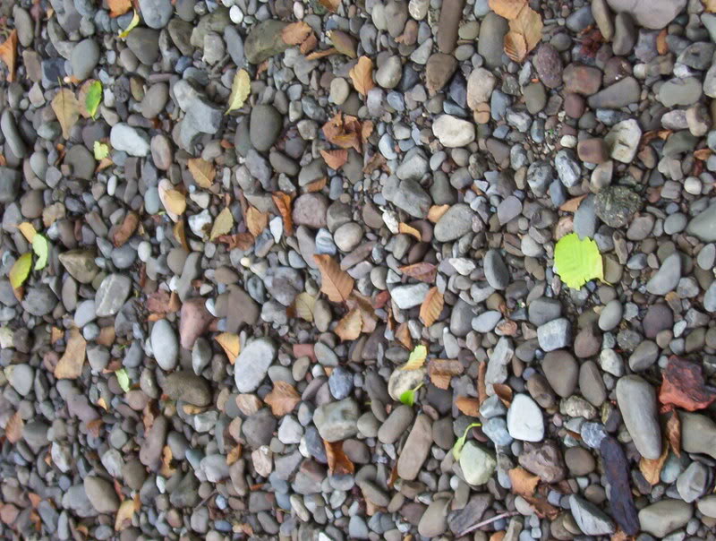 Name: 100_6384.jpg
Views: 74
Size: 130.8 KB