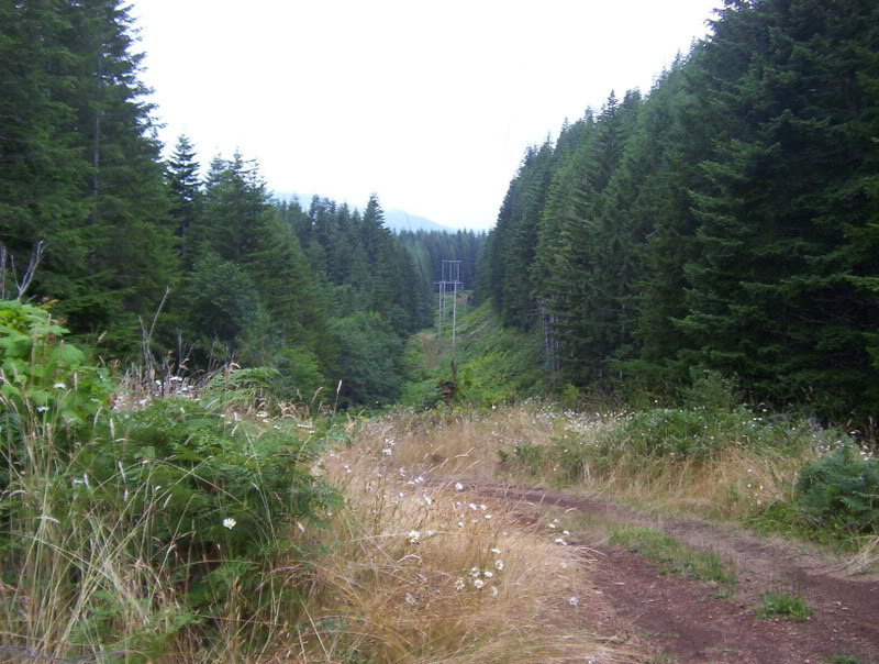 Name:  100_6390.jpg
Views: 64
Size:  124.3 KB