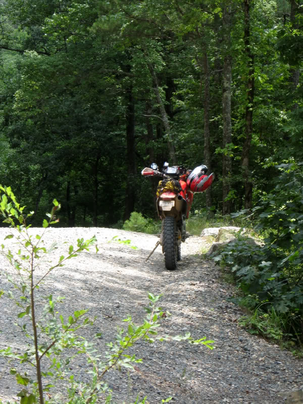 Name: xr-1.jpg
Views: 172
Size: 168.4 KB