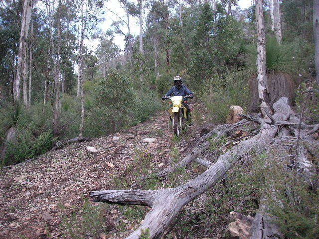 Name:  PICT0049.jpg
Views: 35
Size:  103.4 KB