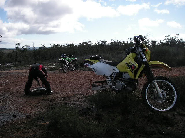 Name:  PICT0045-1.jpg
Views: 35
Size:  63.8 KB