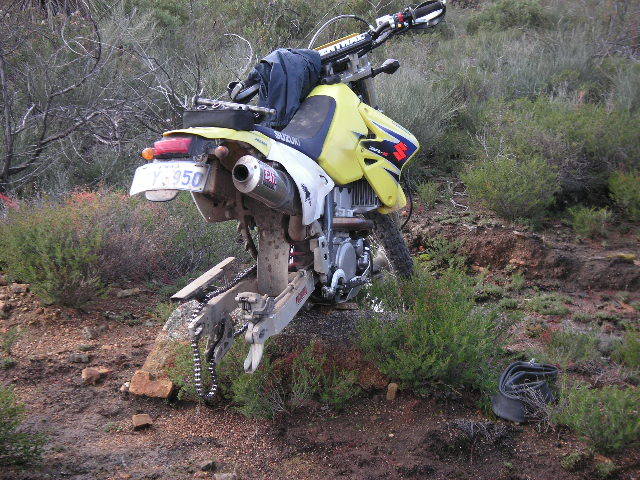 Name:  PICT0043-1.jpg
Views: 69
Size:  100.6 KB