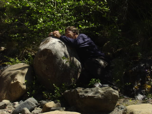 Name:  DSC03002.jpg
Views: 28
Size:  74.8 KB