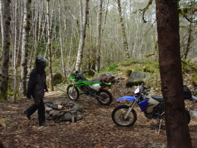 Name:  DSC02198.jpg
Views: 24
Size:  100.5 KB