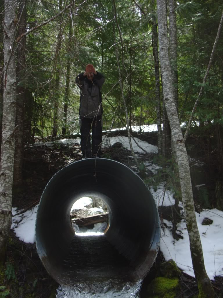 Name:  DSC02169.jpg
Views: 23
Size:  152.7 KB