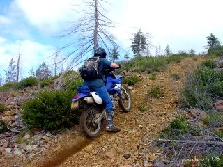 Name:  DSC06783-1.jpg
Views: 26
Size:  26.3 KB