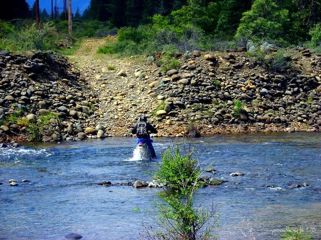 Name:  DSC00664-1.jpg
Views: 25
Size:  123.1 KB