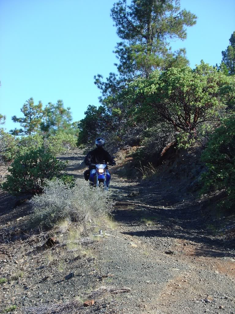 Name:  DSC07767.jpg
Views: 25
Size:  280.5 KB