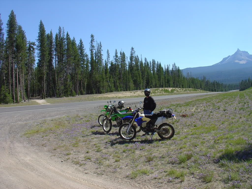 Name:  DSC07455.jpg
Views: 25
Size:  204.5 KB