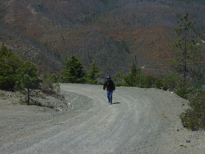 Name:  DSC07090.jpg
Views: 25
Size:  138.8 KB