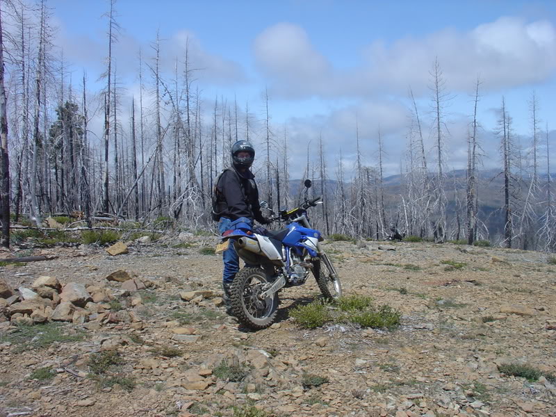 Name:  DSC00679.jpg
Views: 24
Size:  148.4 KB