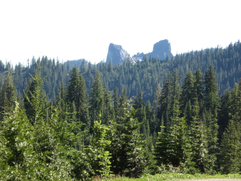 Name: 6-28-08017.jpg
Views: 33
Size: 207.0 KB
